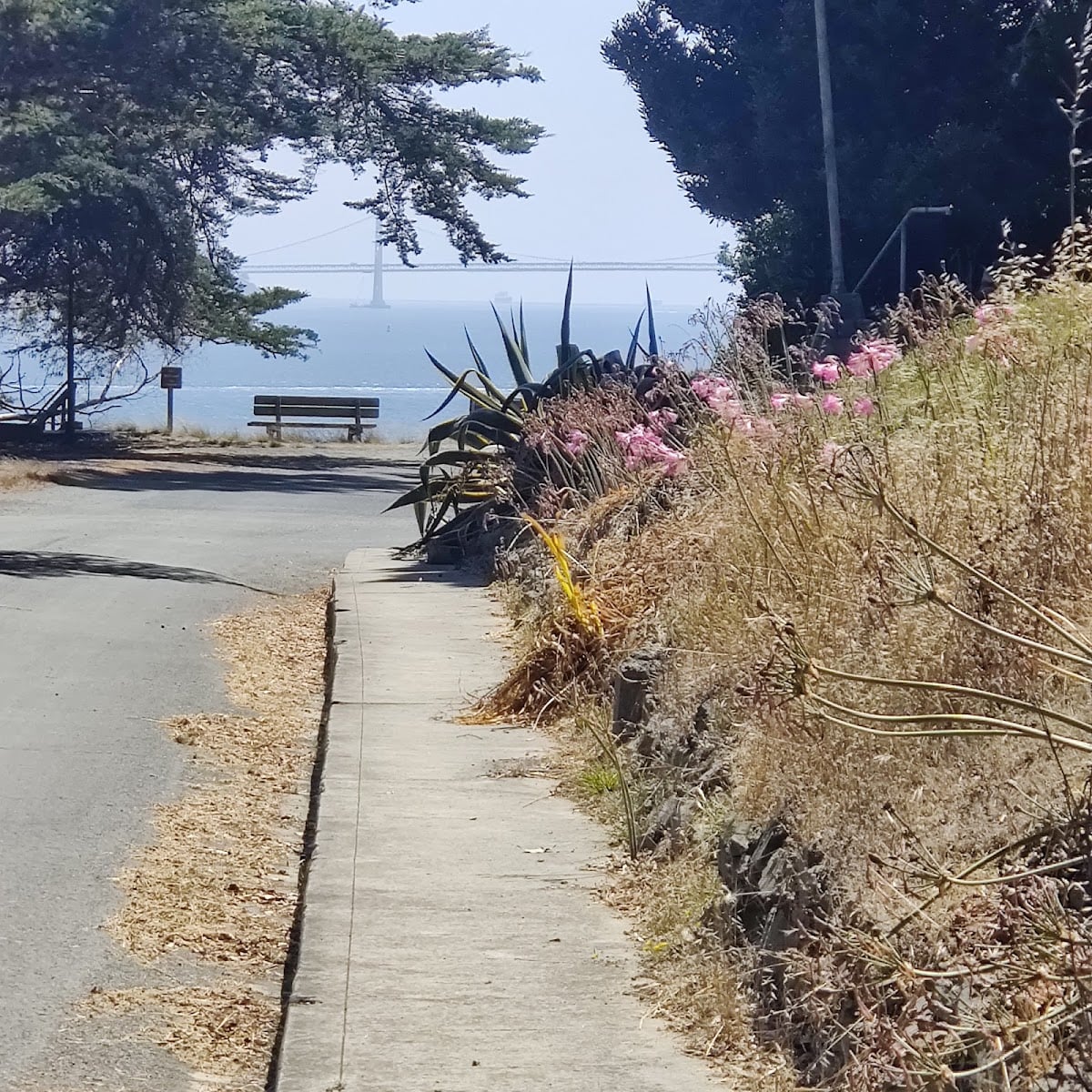 Angel Island