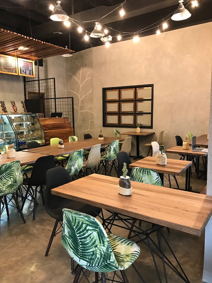Kawka Coffee Shop Bocca
