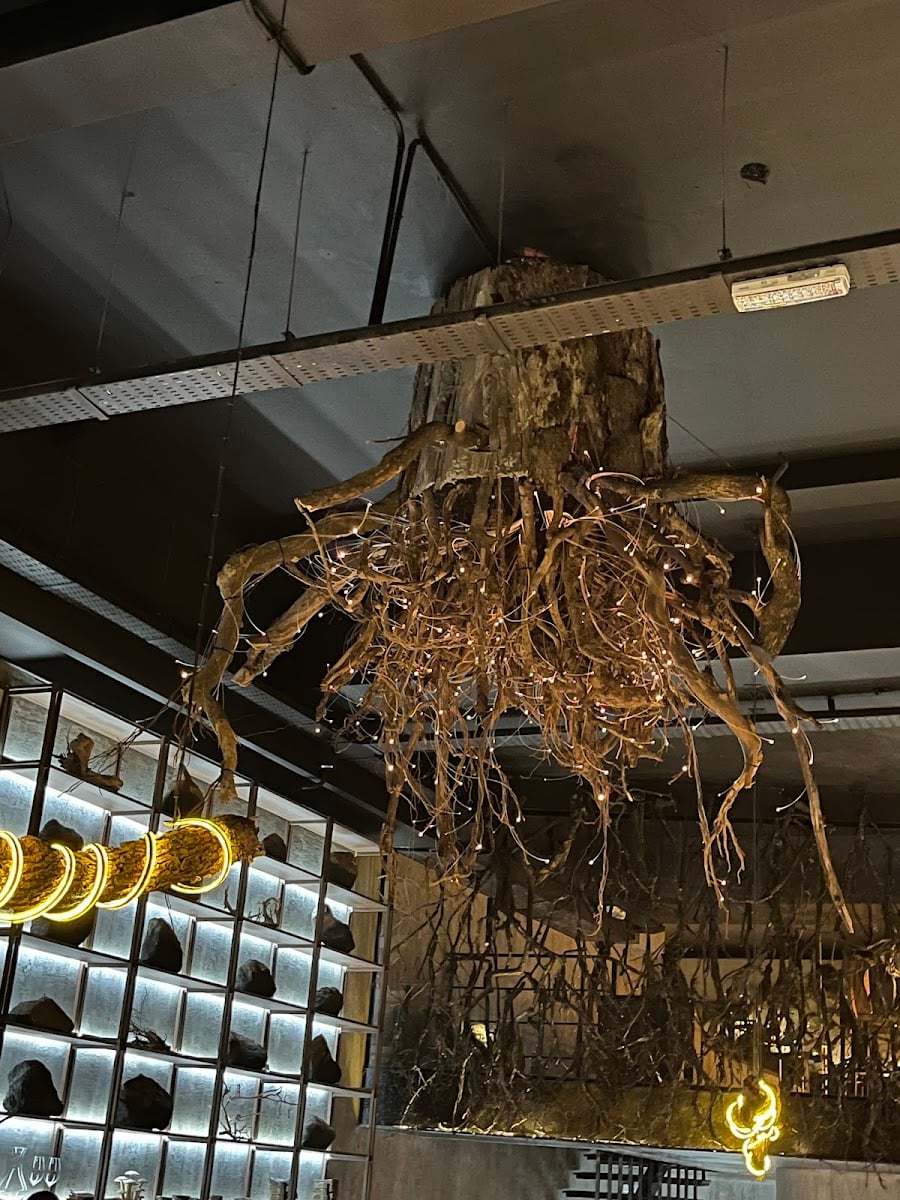 Antro Cocina en cueva