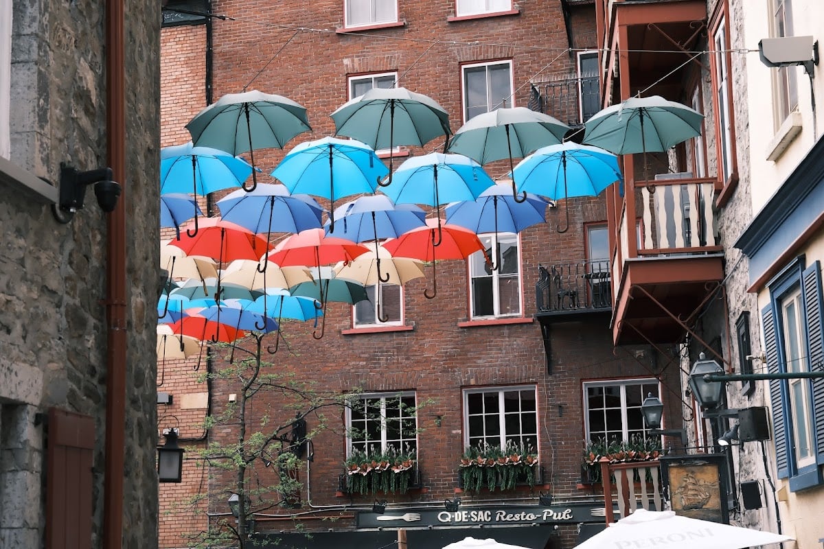 Umbrella Alley (Summer Only)
