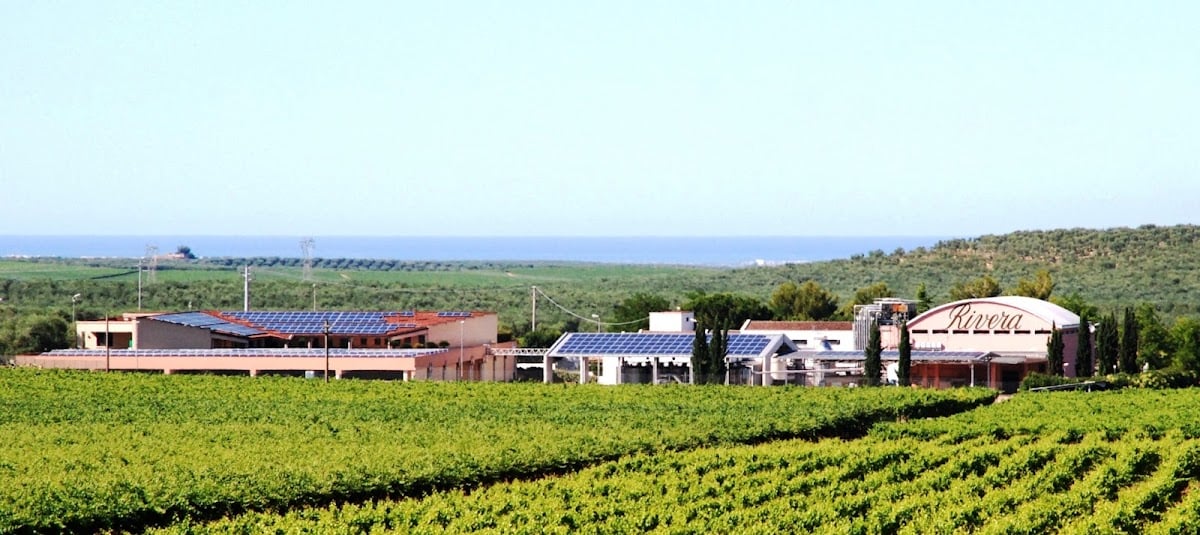 Azienda Vinicola Rivera Spa
