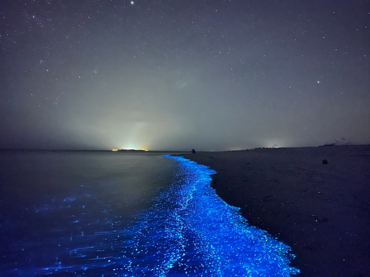 Sea of Stars