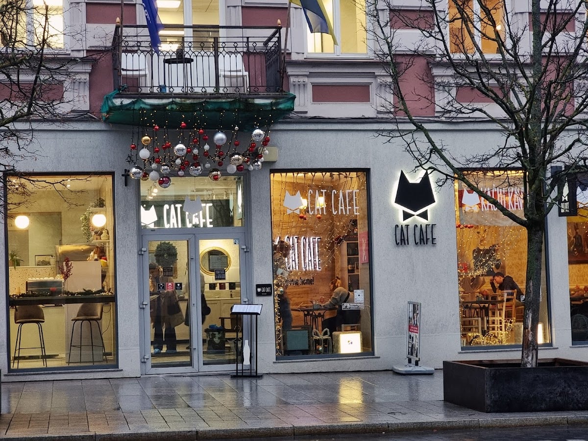 Cat Cafe