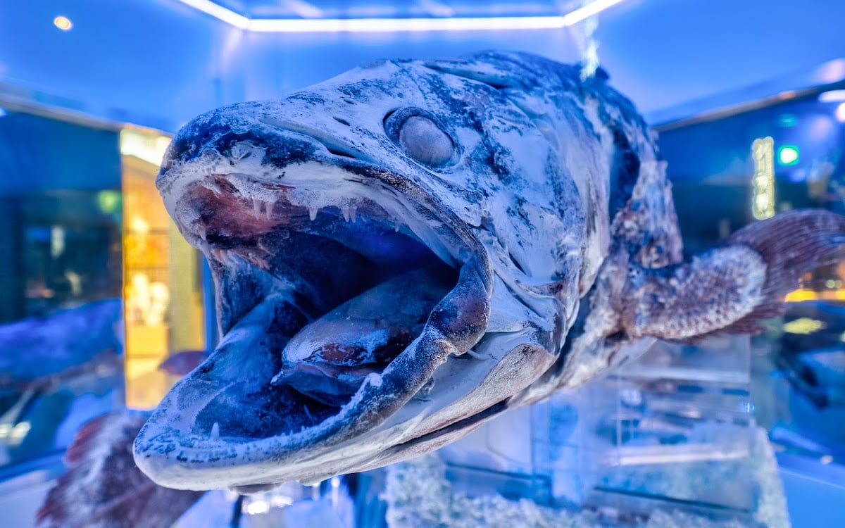 沼津港深海水族館