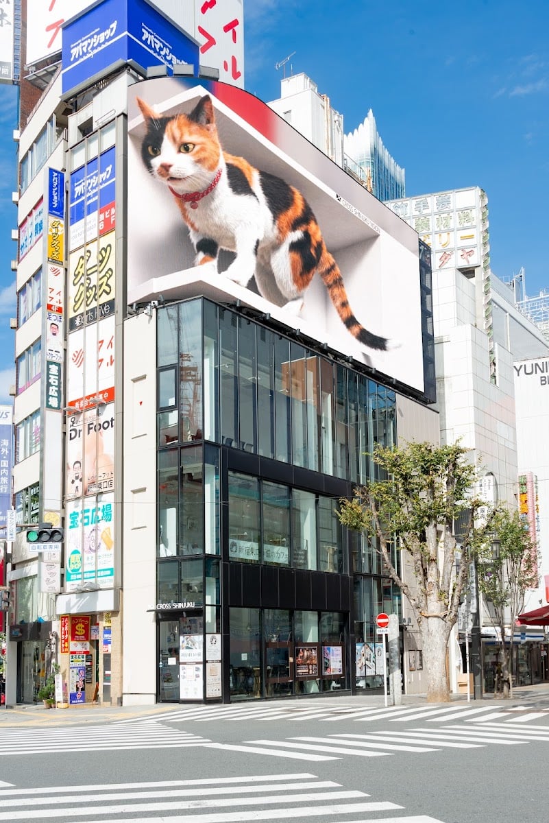 Cat Board Shinjuku East Exit