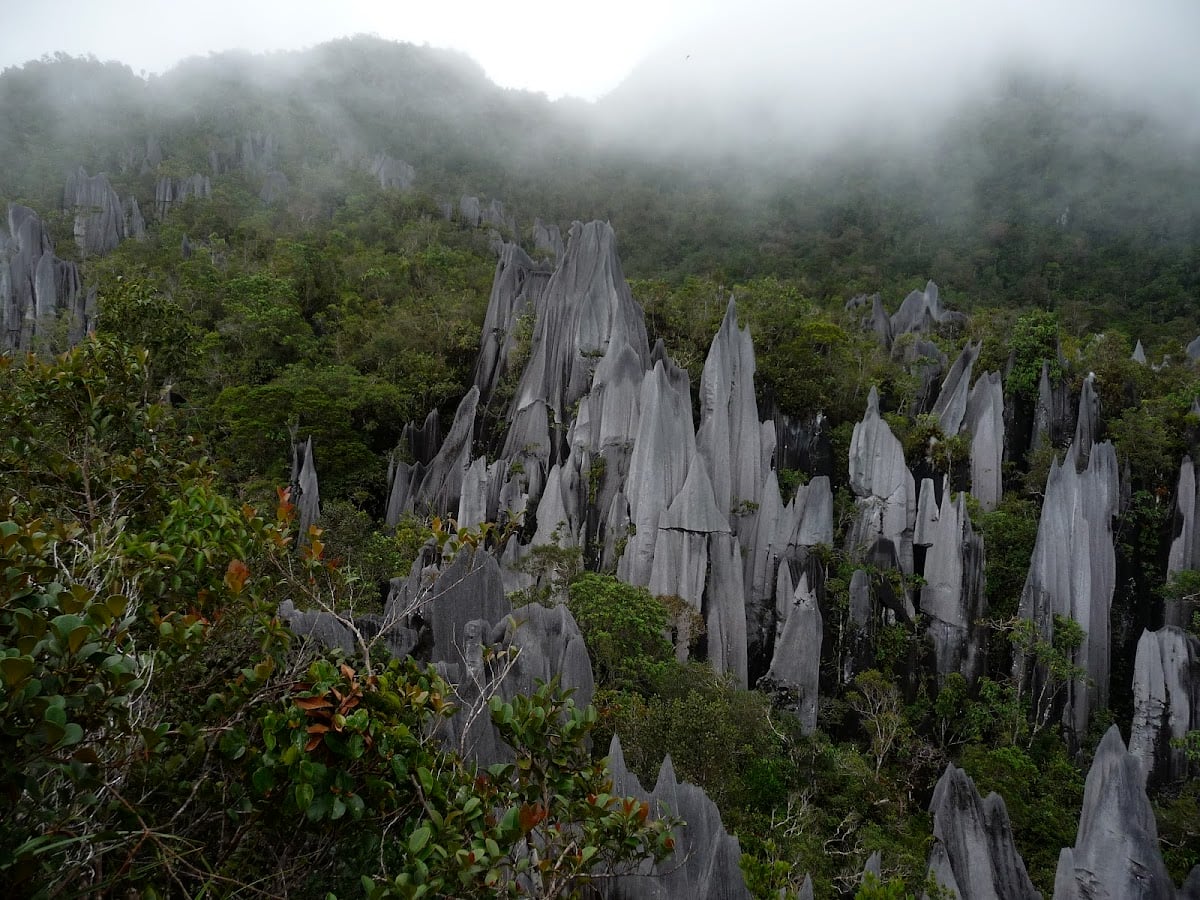 Mount Mulu