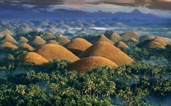 Bohol