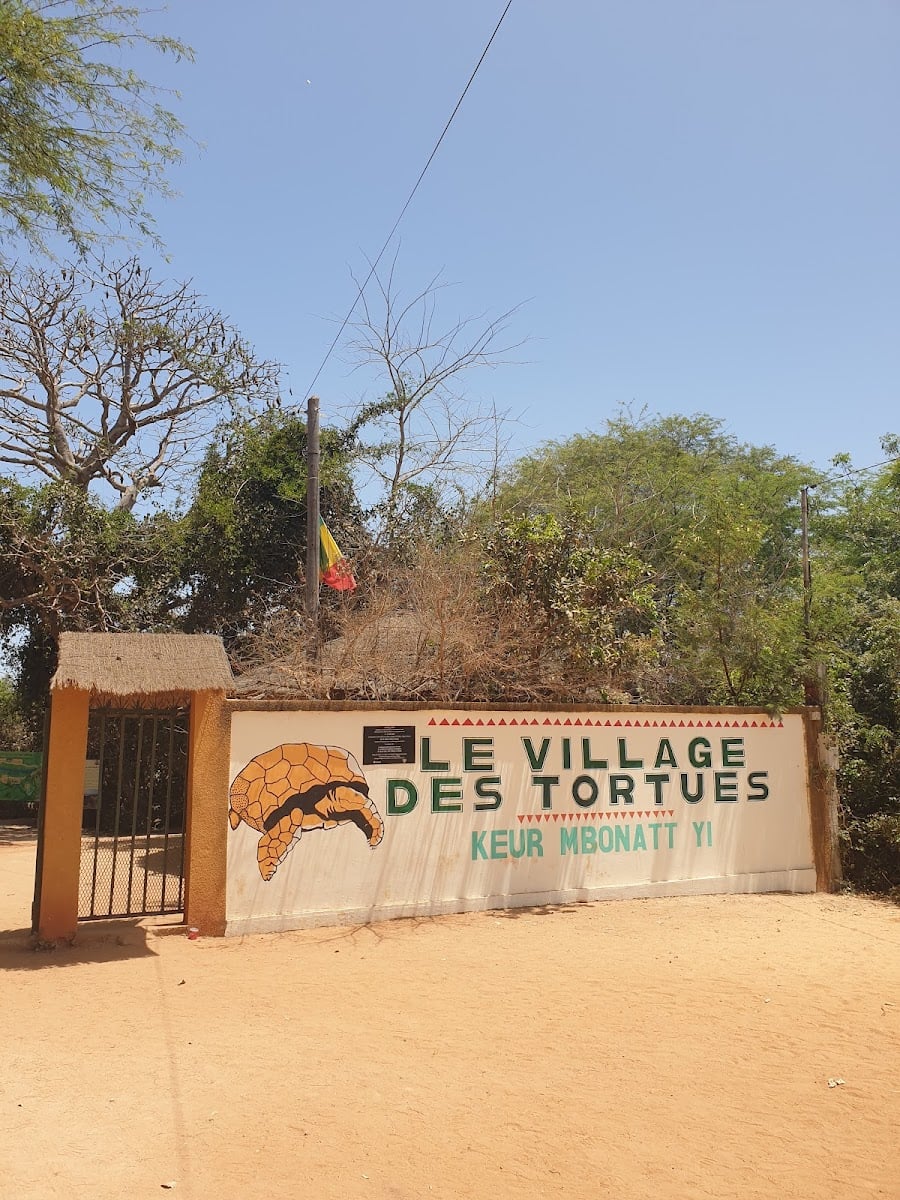 The Tortoise Village