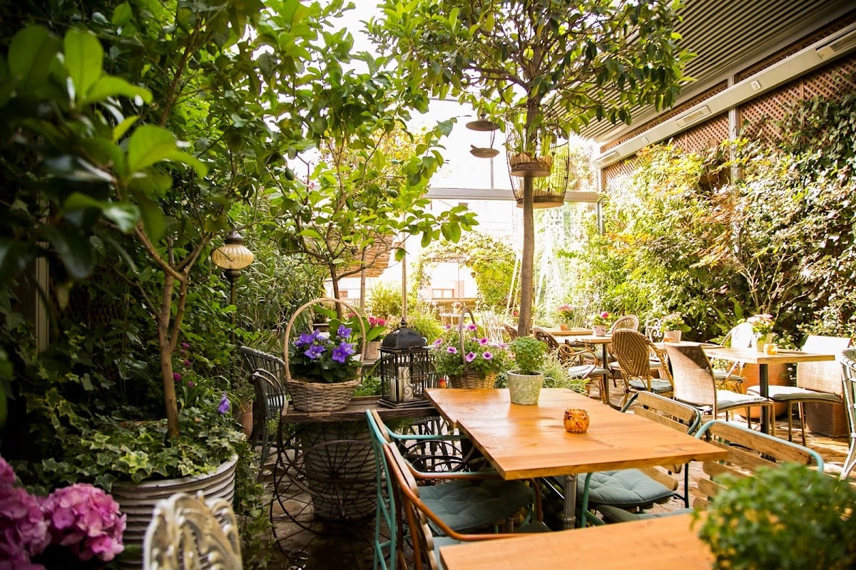 El Jardín de Salvador Bachiller - sol