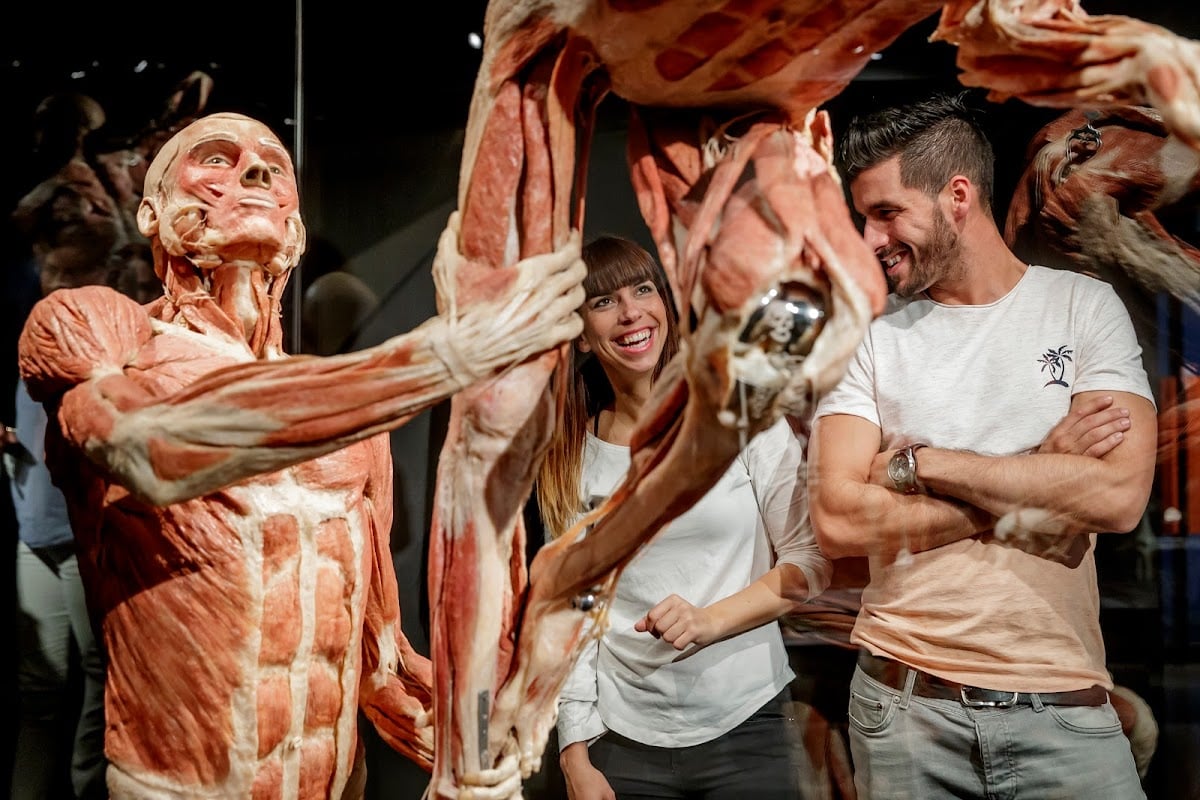 Body Worlds