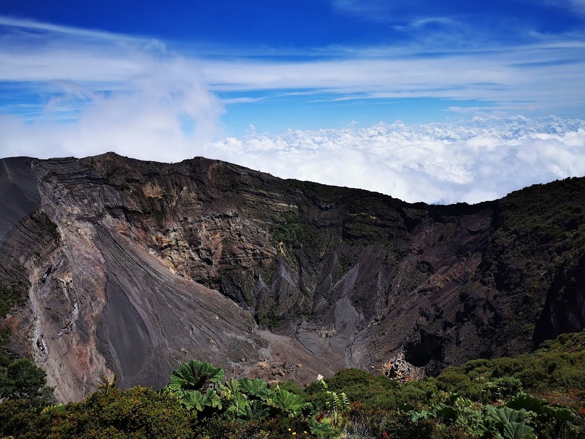 Parque Nacional Volcán Irazú - Sector Prusia - Bosque de Prusia
