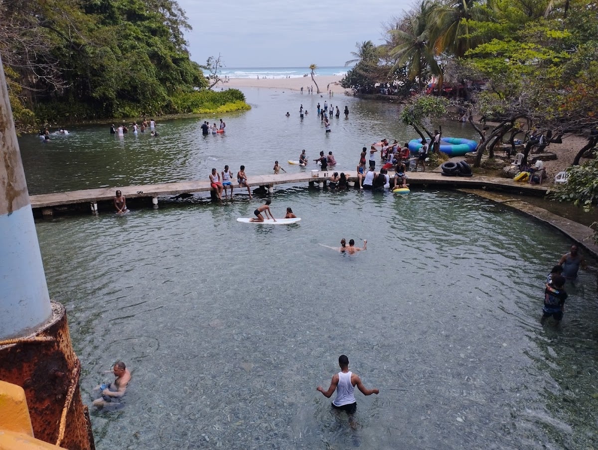 Los patos de Barahona