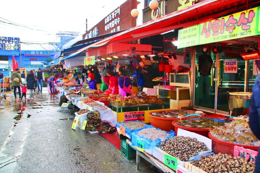 Soraepogu Traditional Fish Market - Seafood