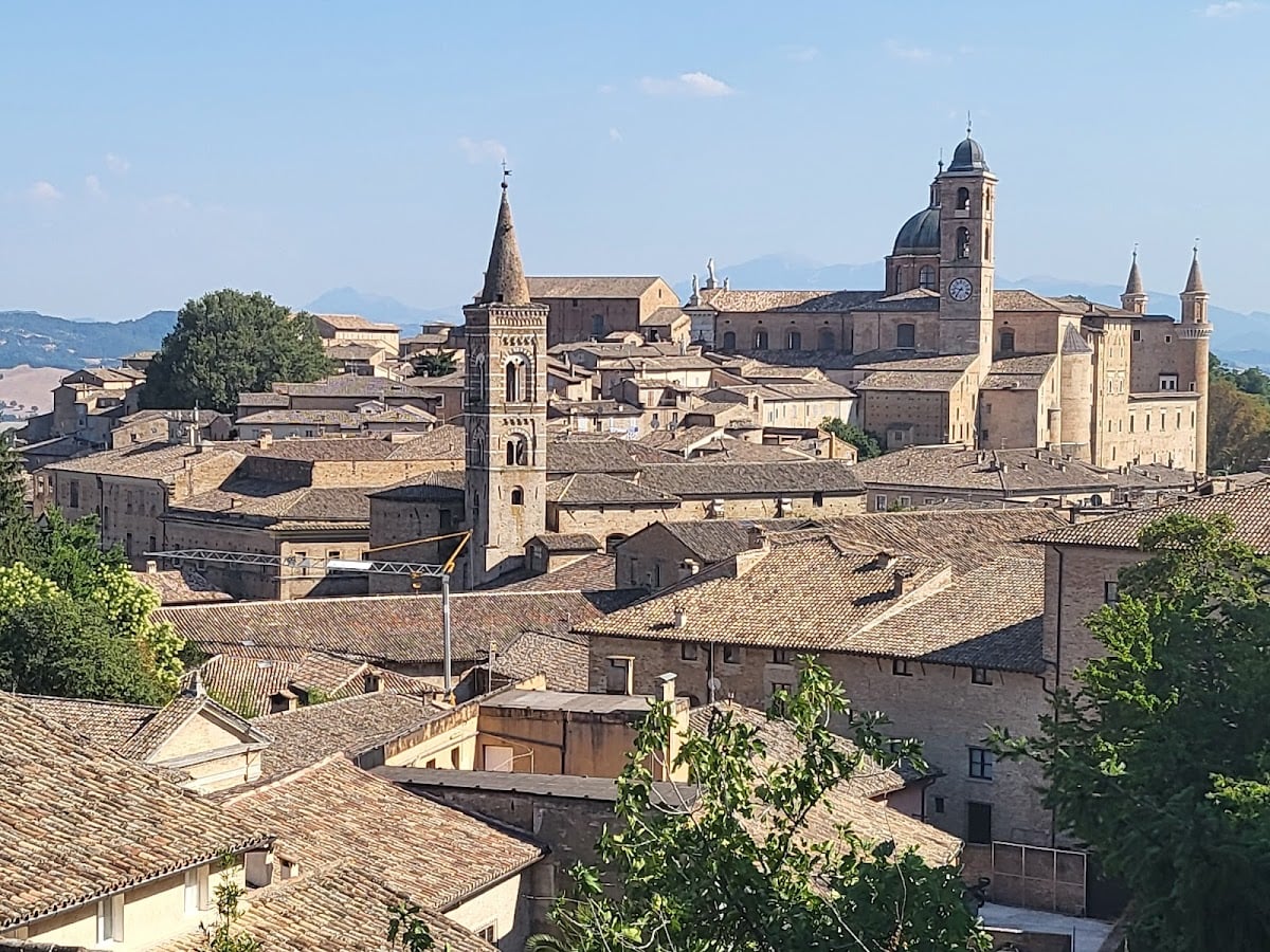 Urbino