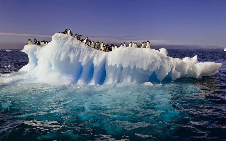 Antarctica