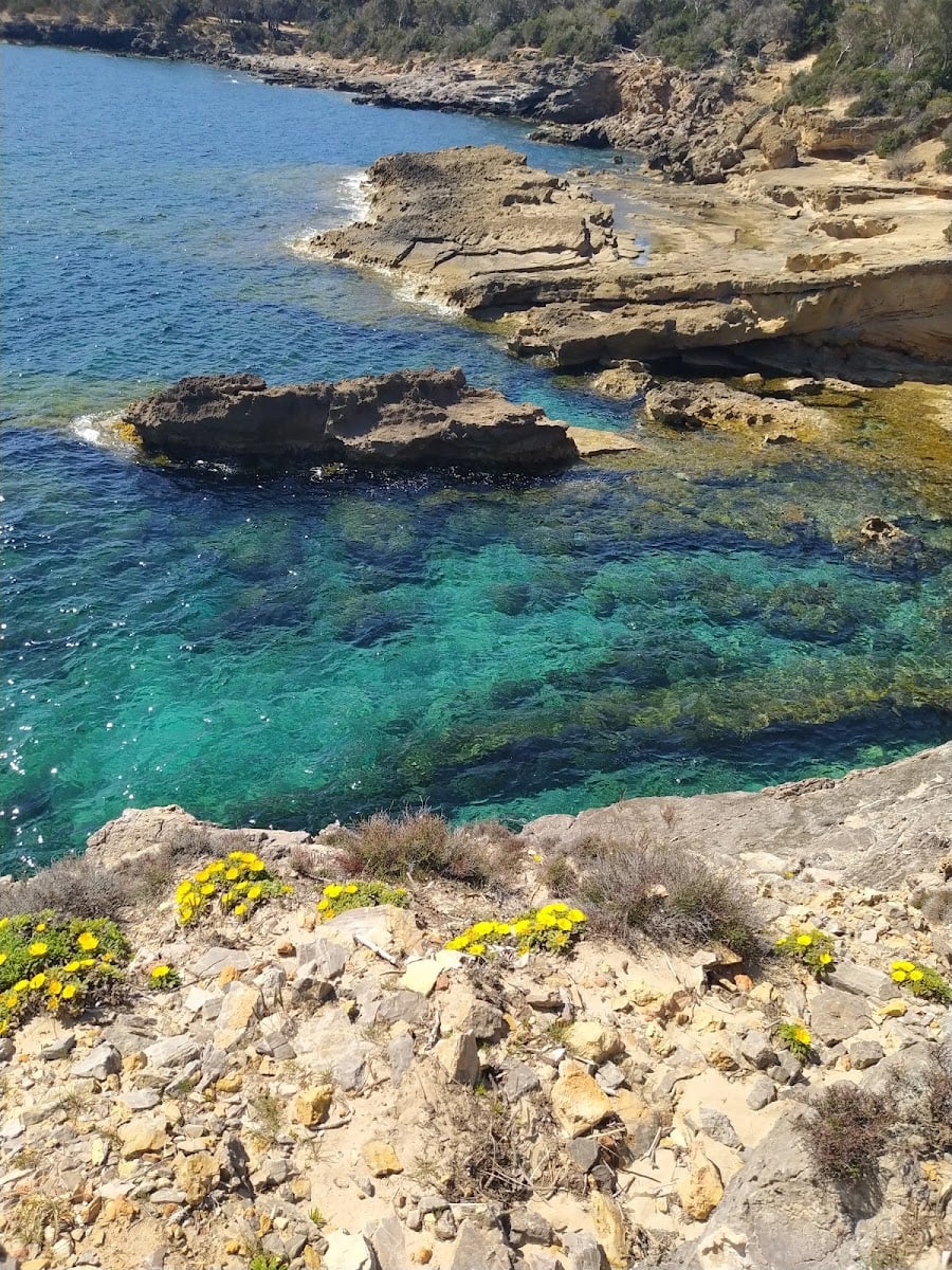 Porto Pinetto