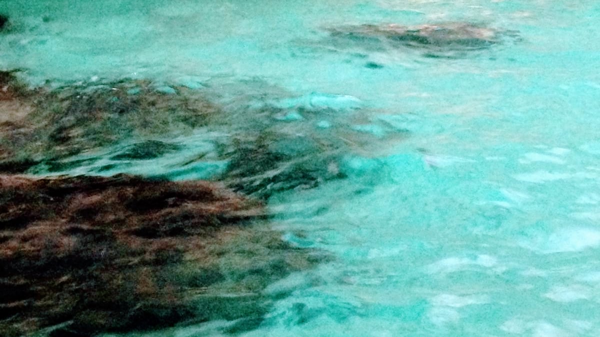 Grotta del Fiume