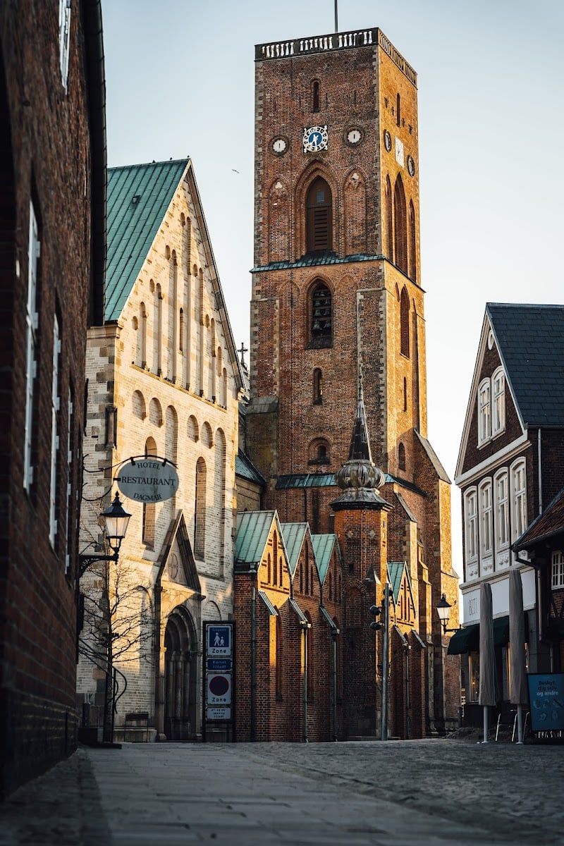 Ribe