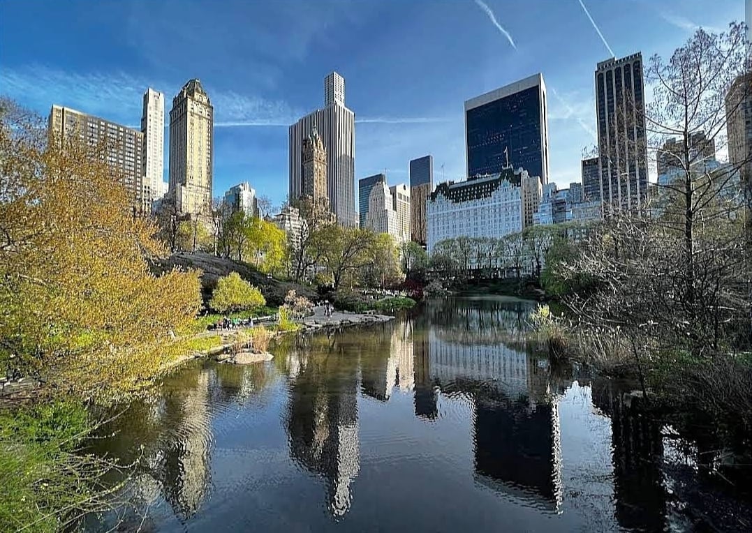 Central Park - New York