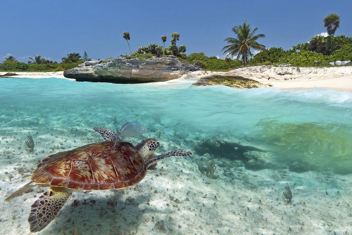Riviera Maya