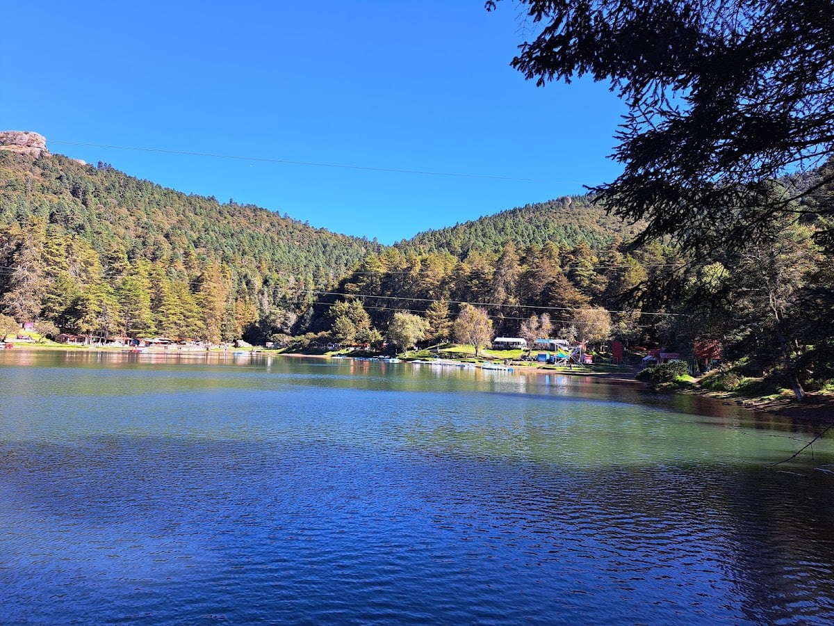 El Cedral