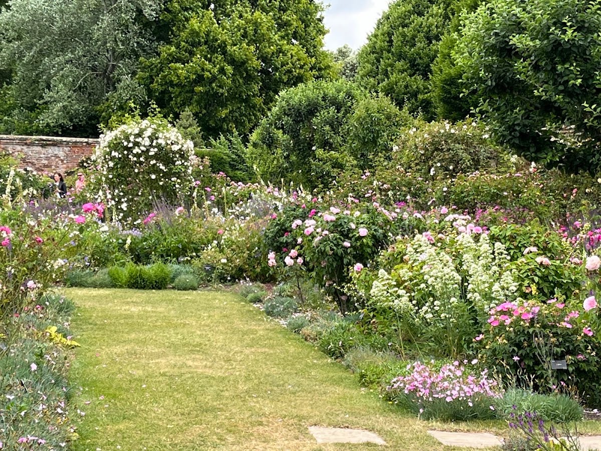 Mottisfont's Walled Rose Garden