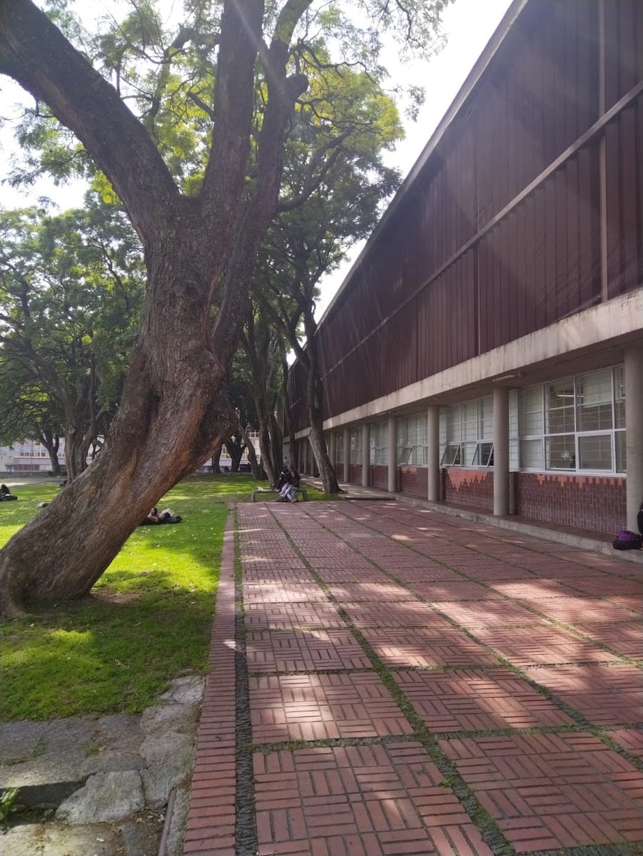 Biblioteca Rosario Castellanos CIEG UNAM