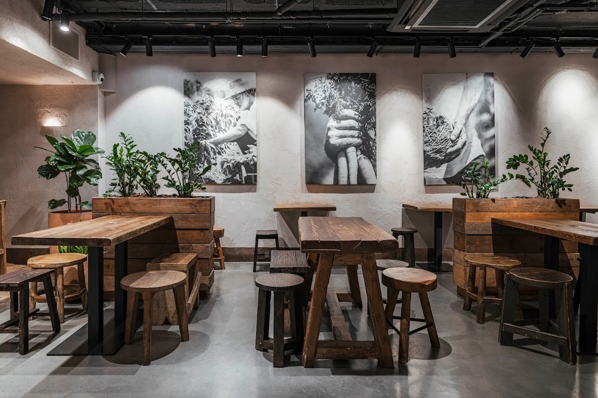 Honest Greens | Tuset