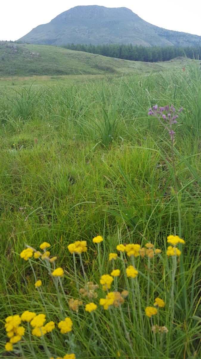 Hogsback - Eastern Cape