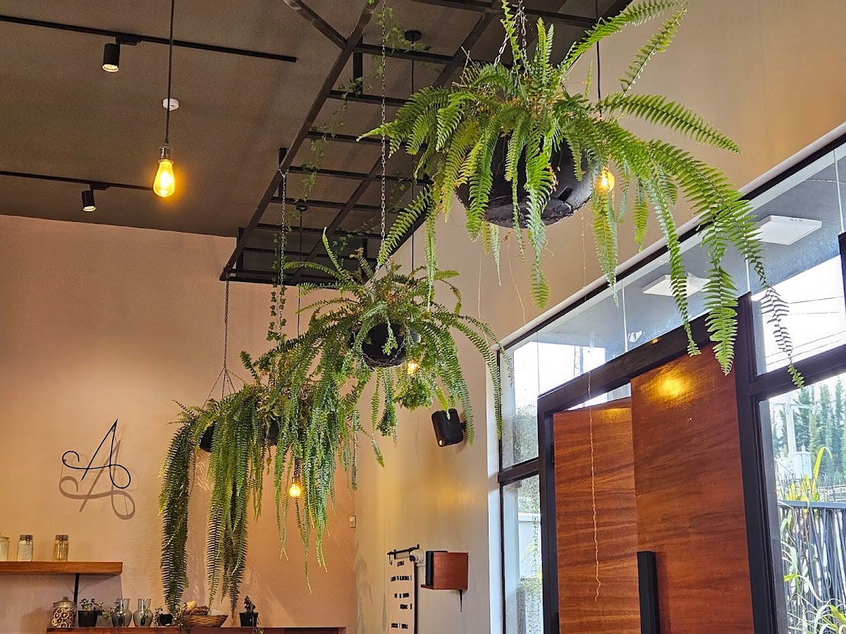 Amasa brunch & bakery