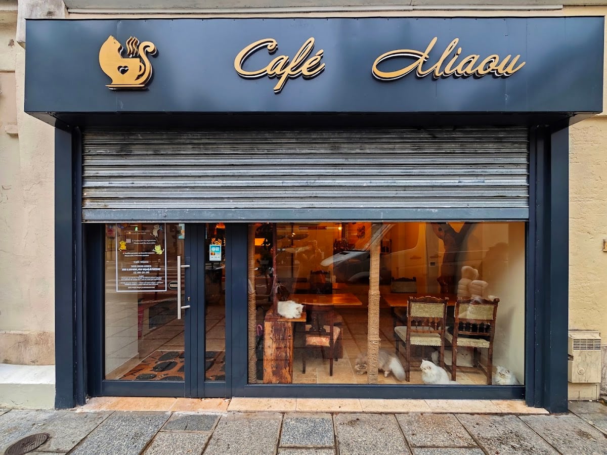 café miaou 🐈‍⬛