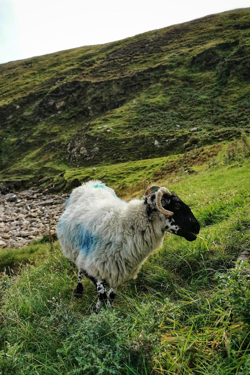 Achill Island