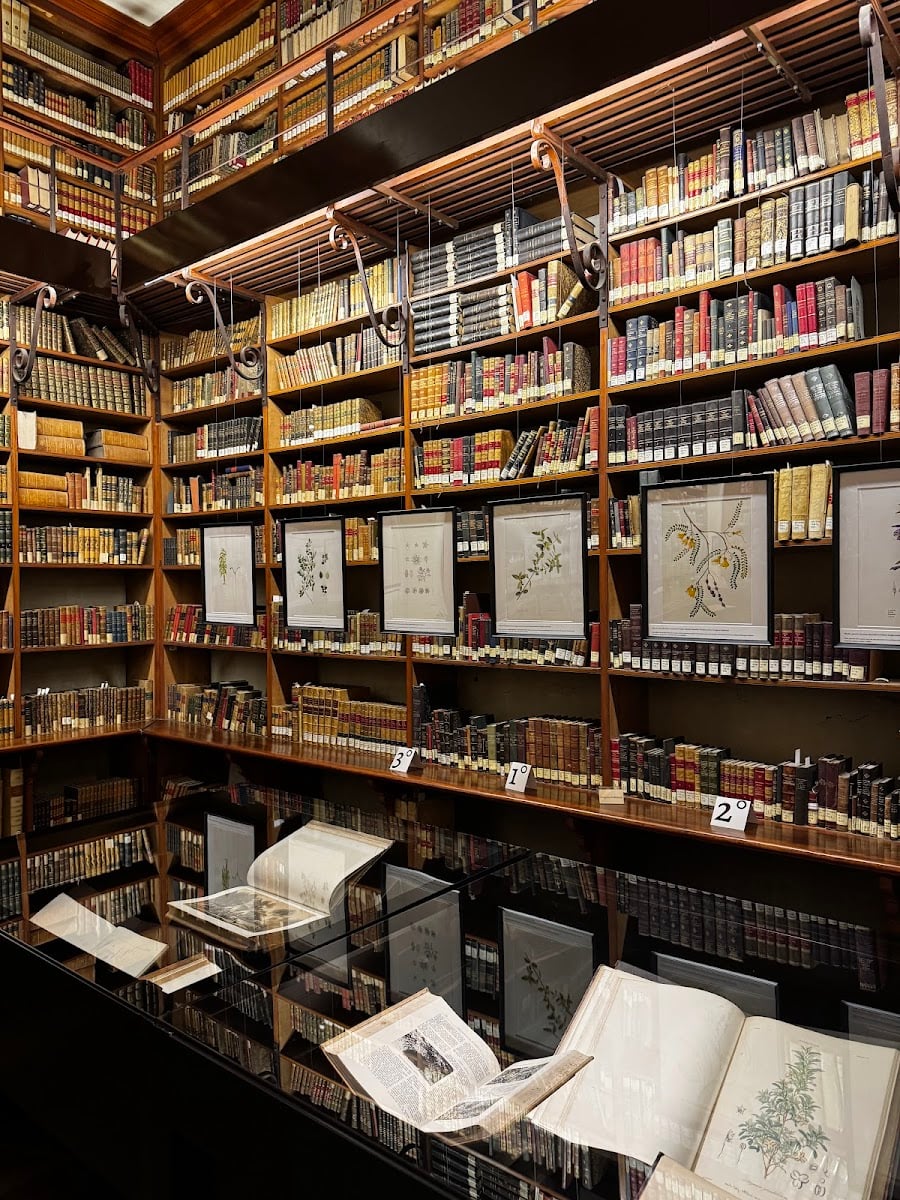 Biblioteca Patrimonial Recoleta Dominica