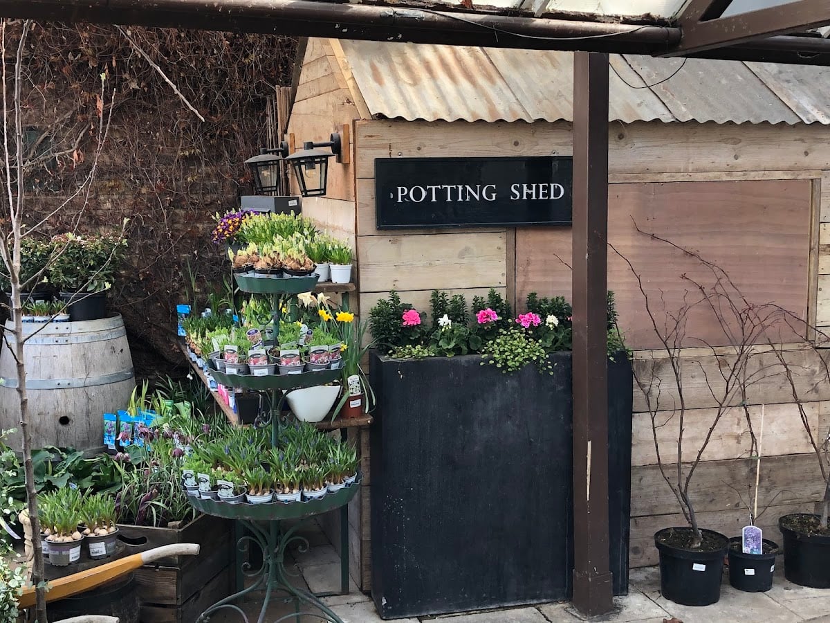 Clifton Nurseries