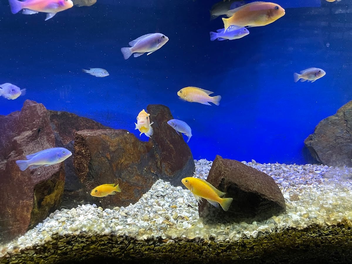 Acuario Aquamundo