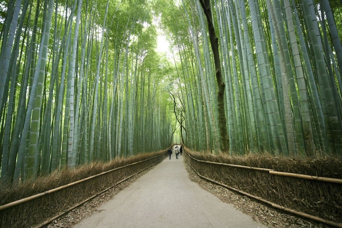 Arashiyama Nakaoshitachō