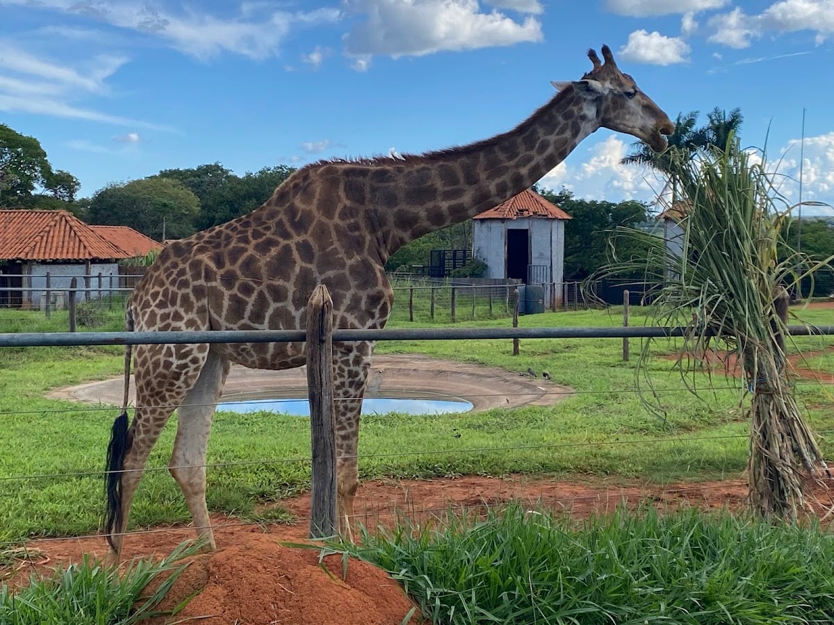 Zoológico de Brasília
