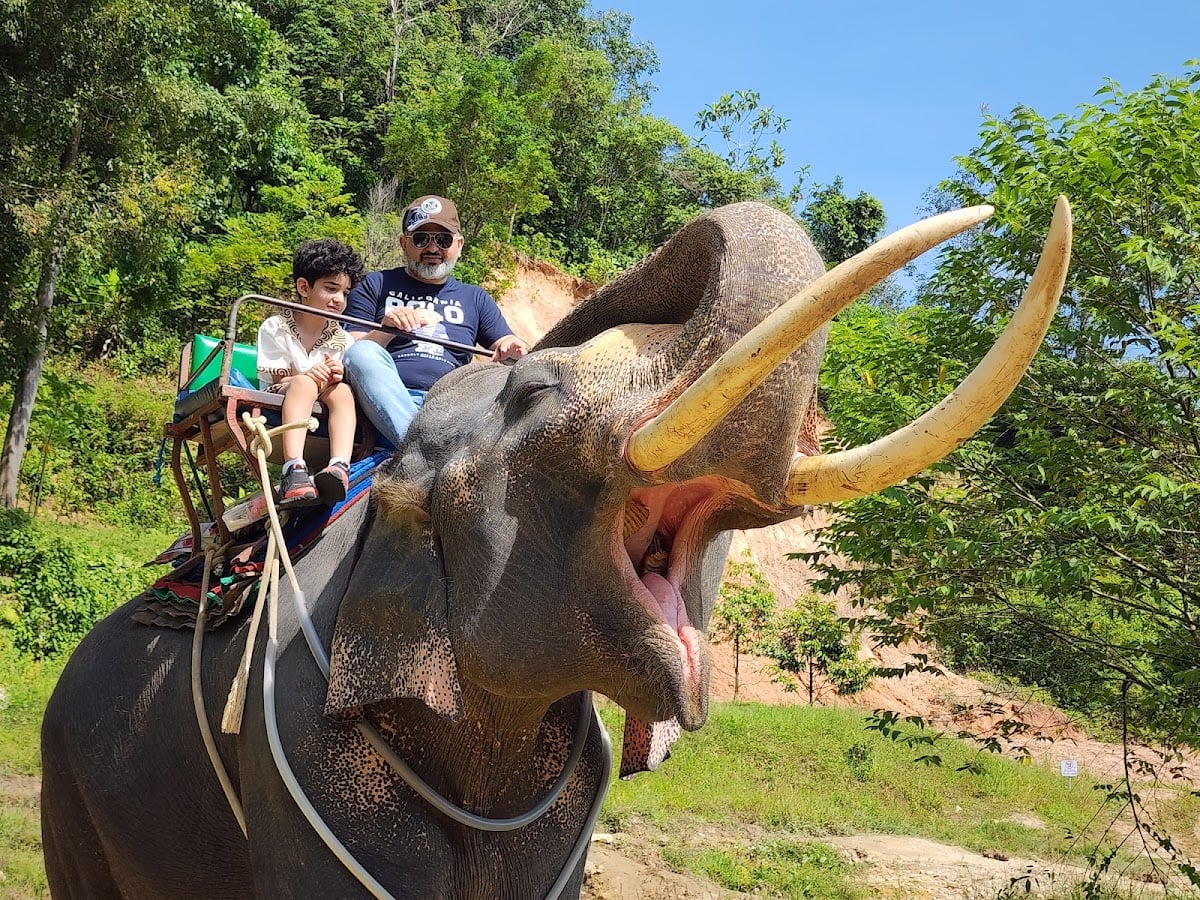Nopparat Elephant camp