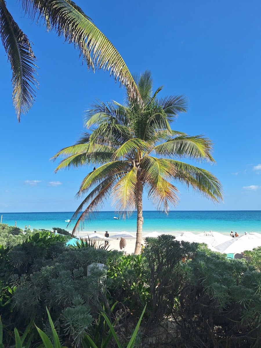 Playa Paraíso