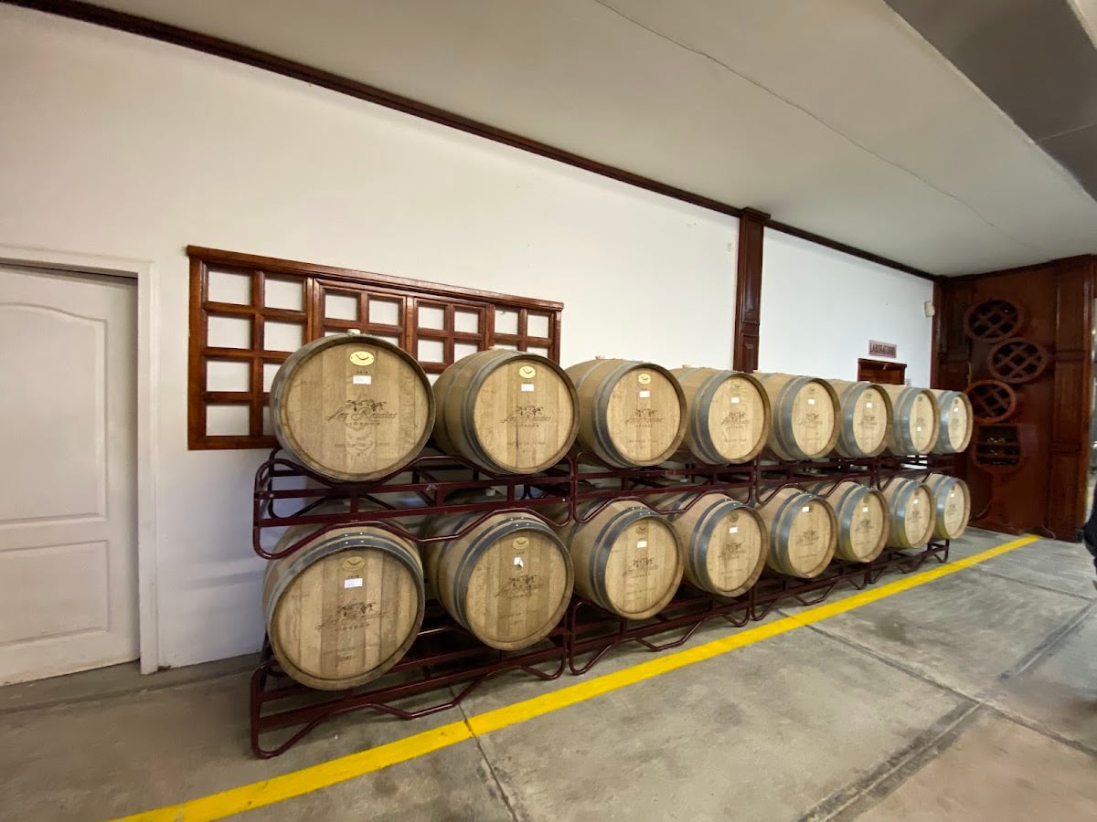 Viñedo Los Rosales