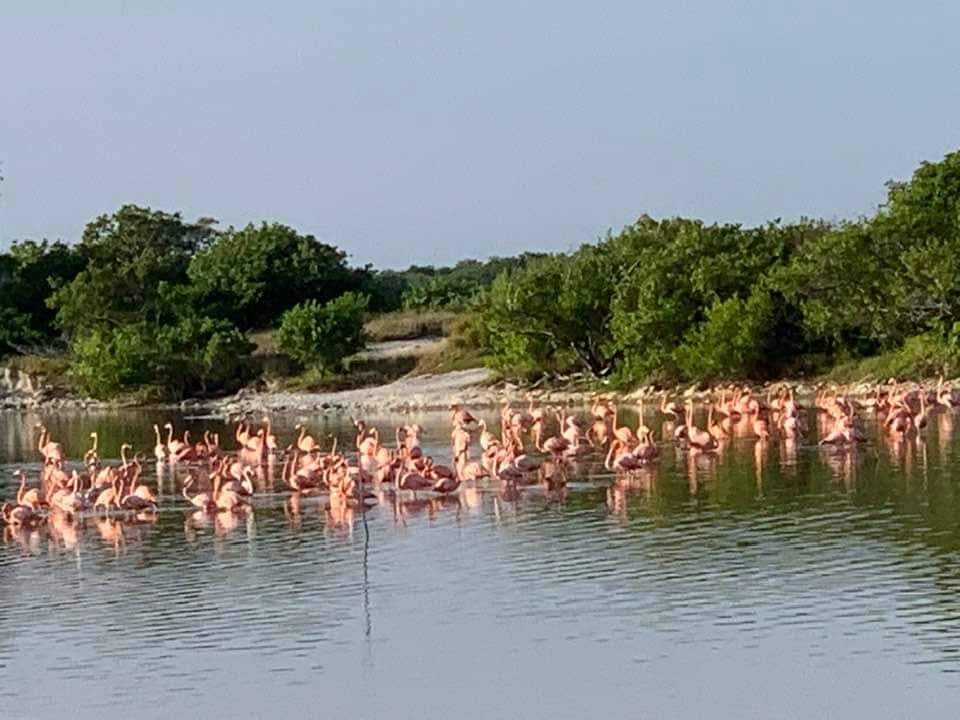 Yucatan