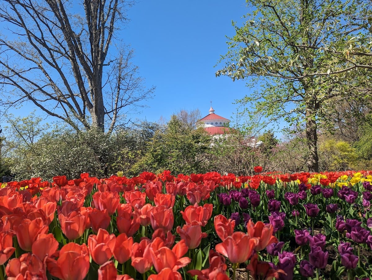 Cincinnati Zoo & Botanical Garden