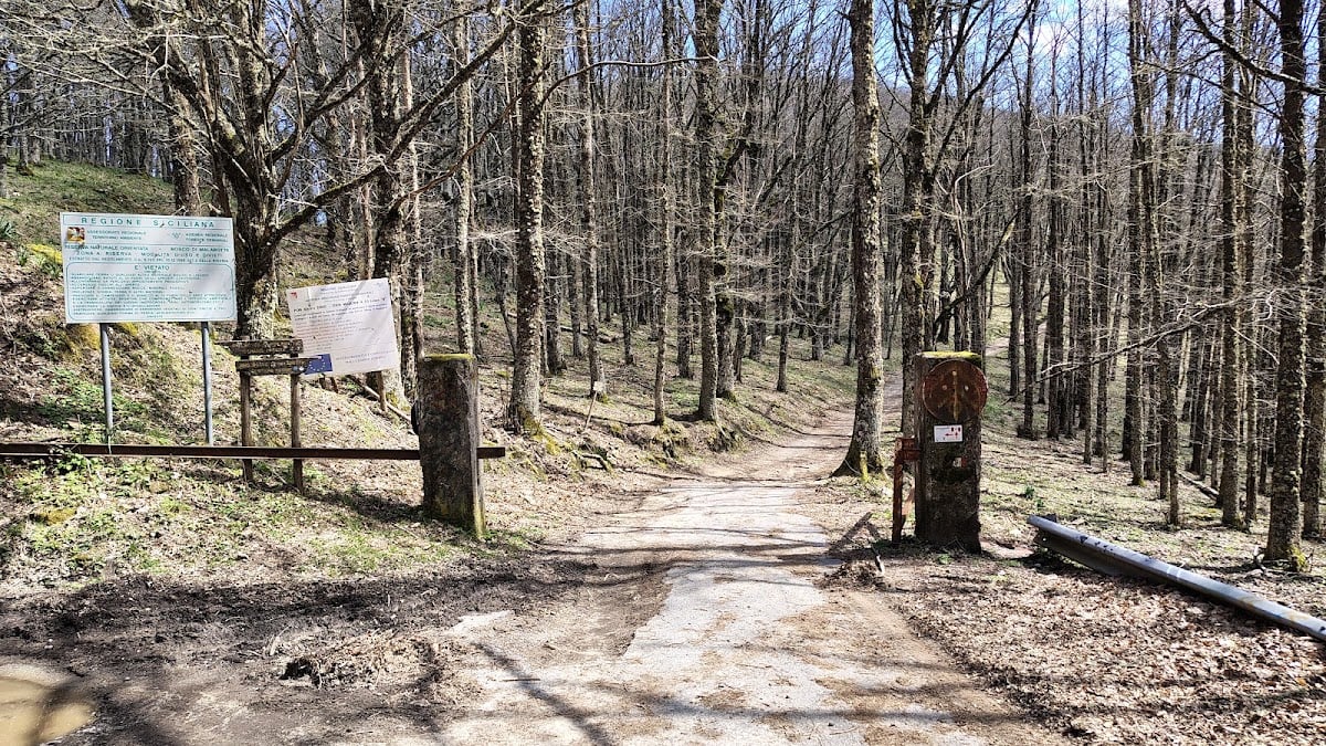 Bosco di Malabotta riserva orientata