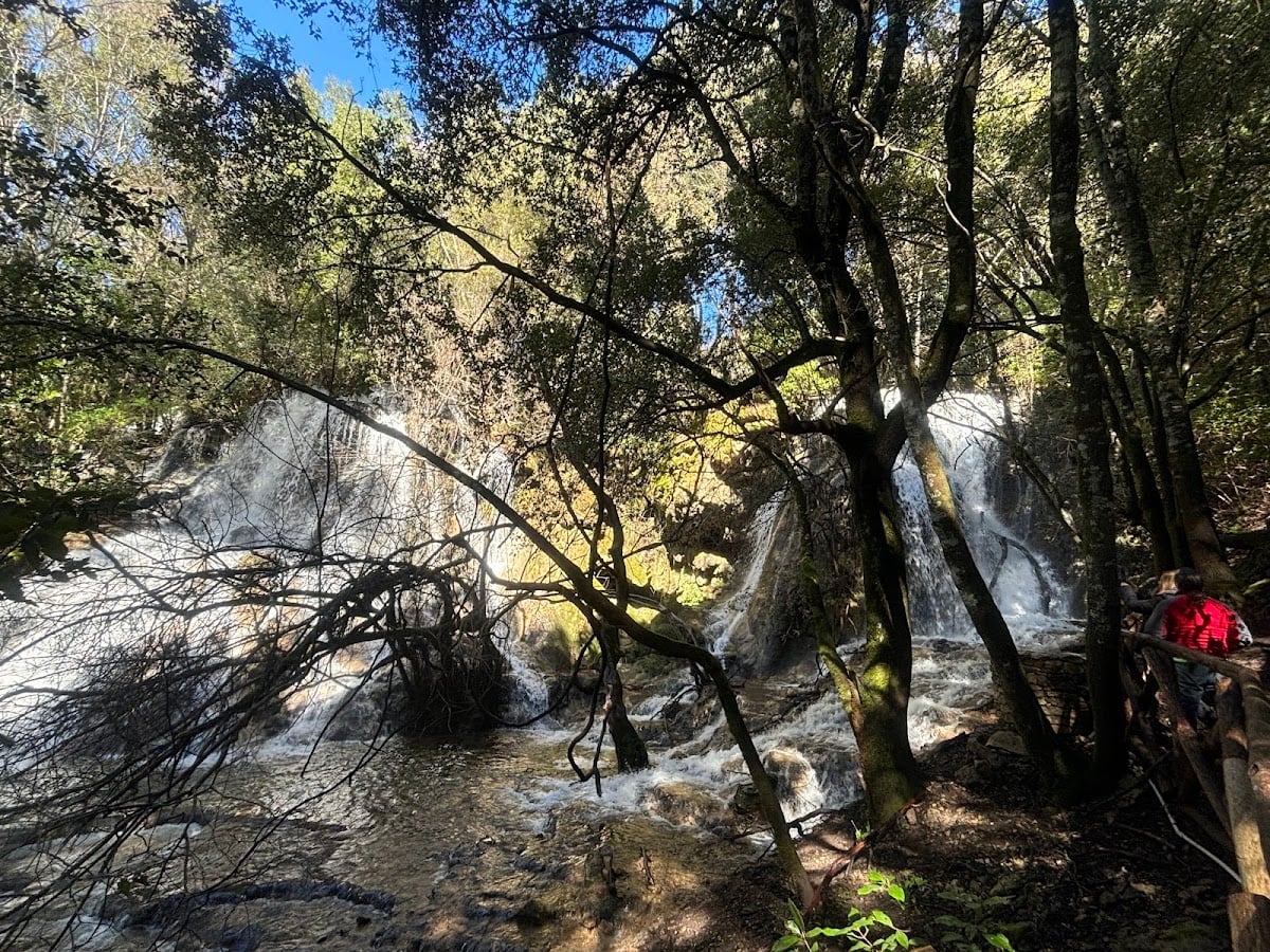Parco di Funtana Is Arinus
