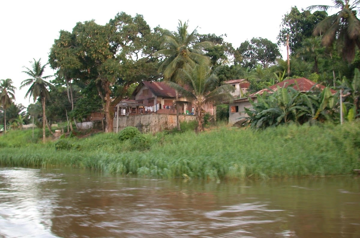 Gabon 🇬🇦.