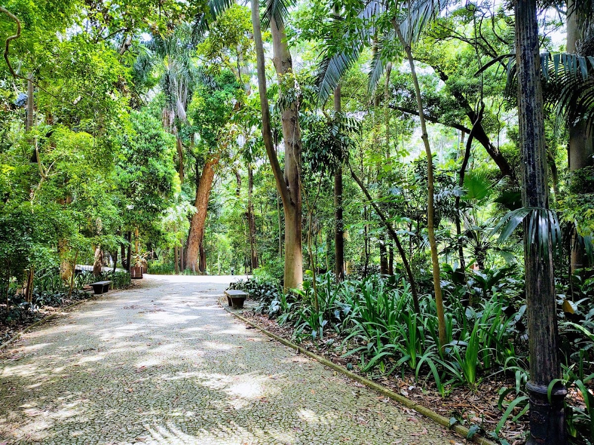 Parque Trianon - Tenente Siqueira Campos
