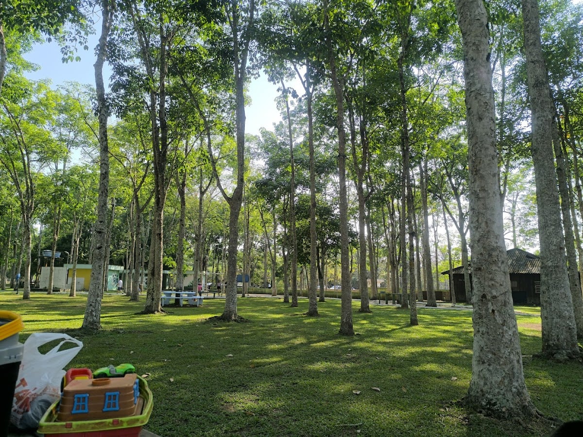 Parque Circuito