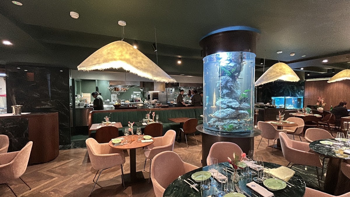 Sea Signora Milano - Seafood restaurant in Brera