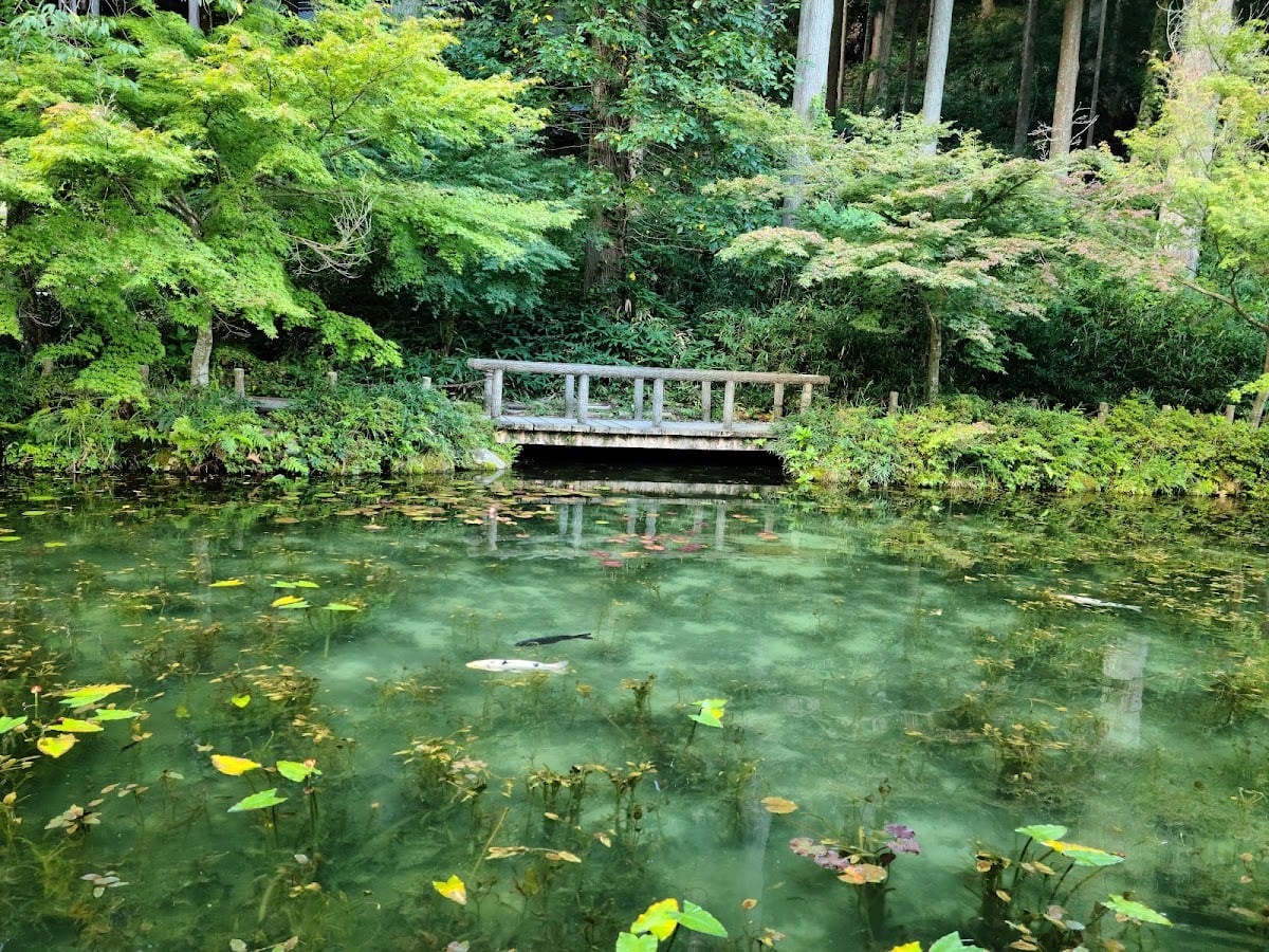 Monet's Pond