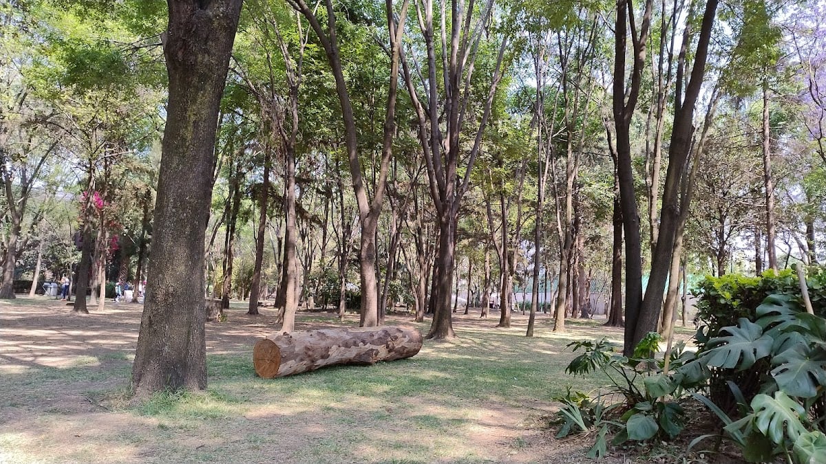 Parque de los coyotes palapa 7 - Av. H. Escuela Naval Militar S/N, Coapa